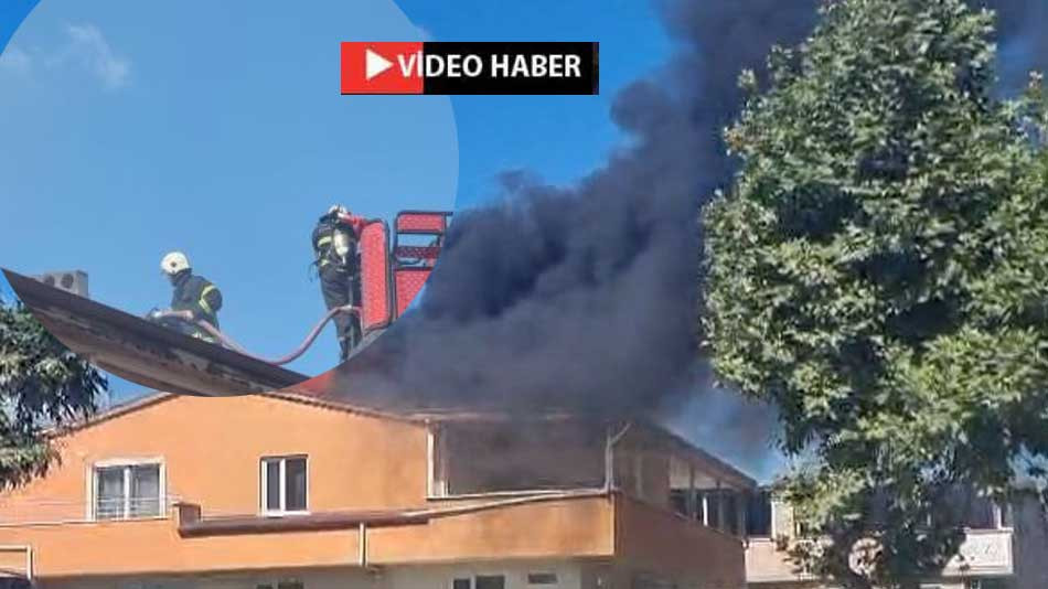Darıca'daki binada yangın çıktı