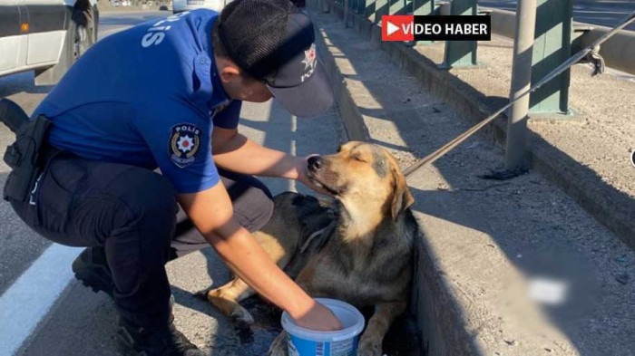 Kocaeli Polisinden örnek davranış